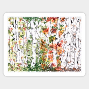 Birch Forest, Four Seasons Sticker